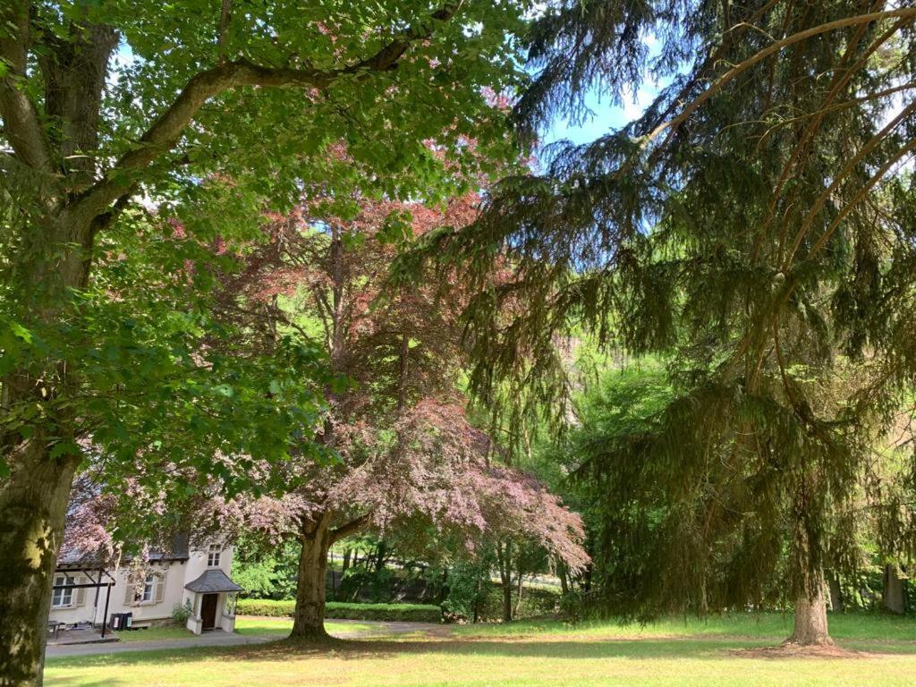 Apartment Haus Rheinberg Gaestehaus Lorch am Rhein