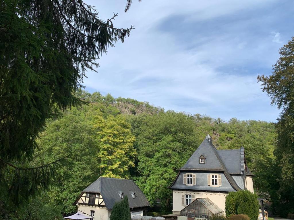 Haus Rheinberg Gaestehaus Apartment Lorch am Rhein