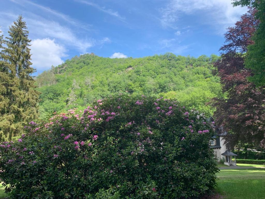 Haus Rheinberg Gaestehaus * Lorch am Rhein
