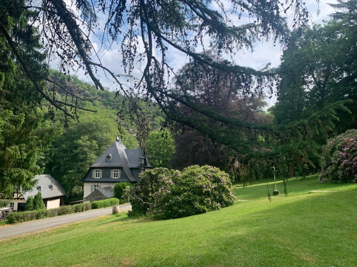 Apartment Haus Rheinberg Gaestehaus Lorch am Rhein